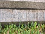 image of grave number 949639